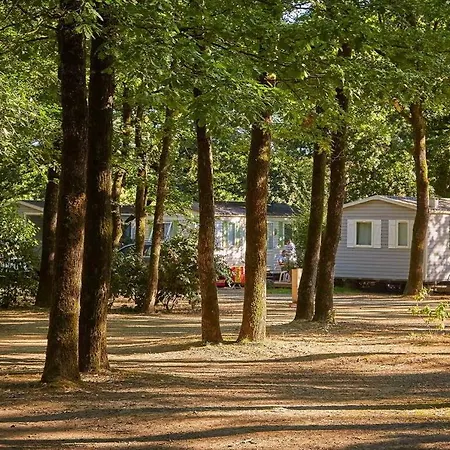 Camping Mobil-home Puy Du Fou